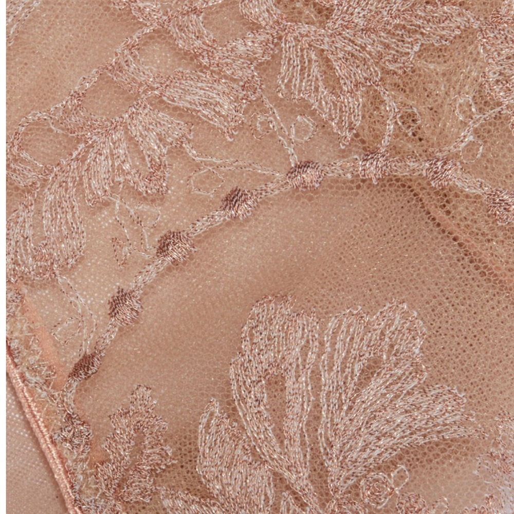 ID Sarrieri Desert Rose Gold Embroidered Stretch-Tulle Floral set size 34D/4 NWT - Picture 4 of 9